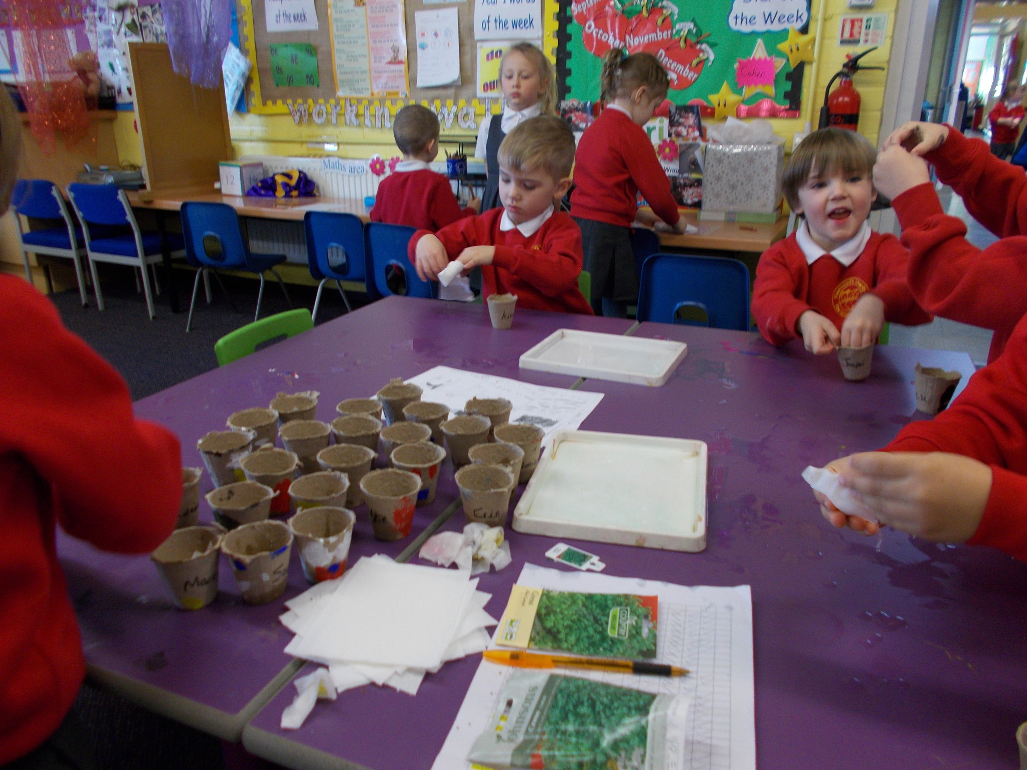 Image of Growing Cress!